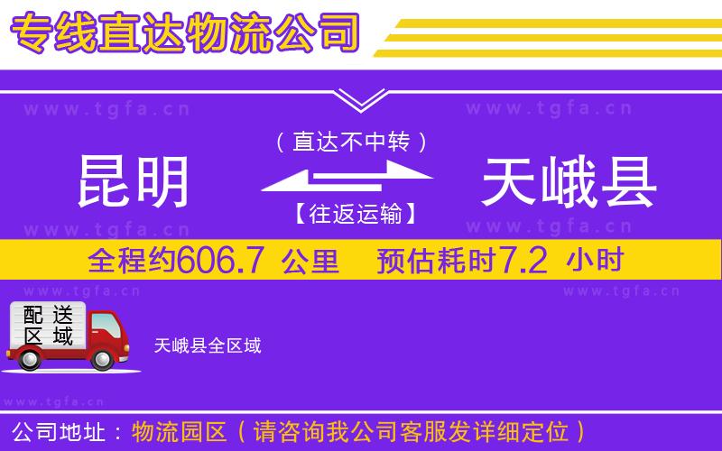 昆明到天峨縣物流公司