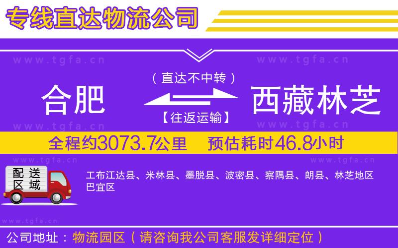 合肥到西藏林芝地區(qū)物流公司