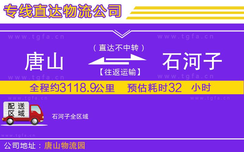 唐山到石河子物流公司