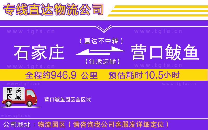 石家莊到營口鲅魚圈區(qū)物流公司