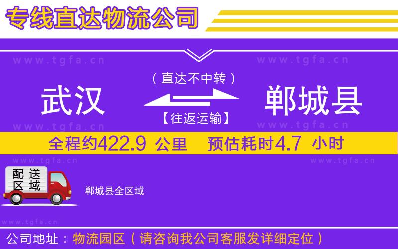 武漢到鄲城縣物流公司