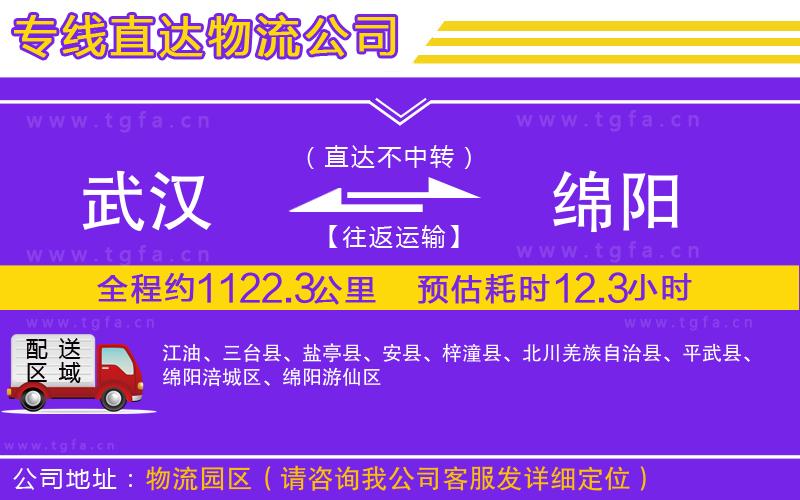 武漢到綿陽物流公司