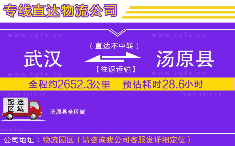 武漢到湯原縣物流公司