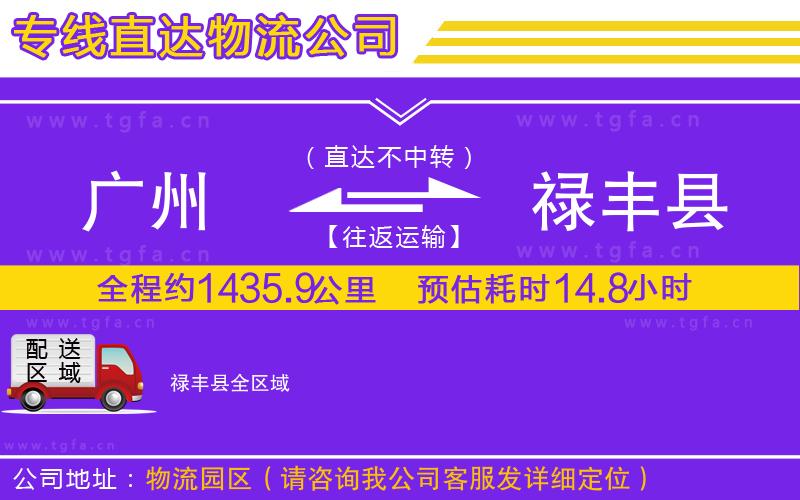 廣州到祿豐縣物流公司