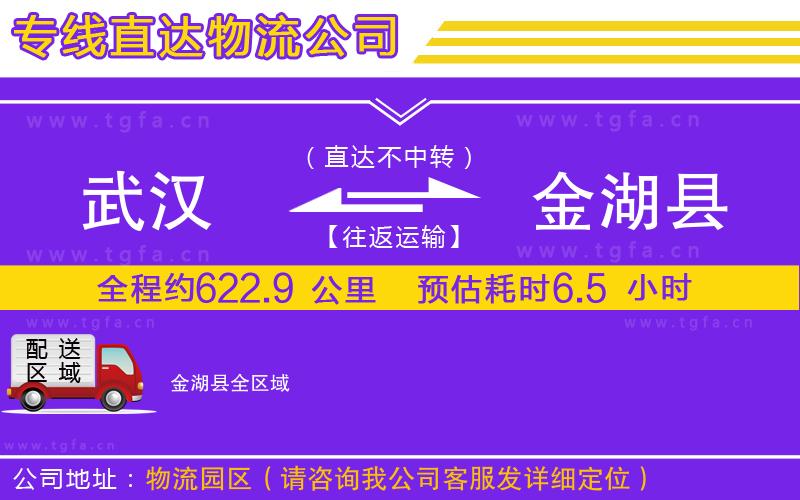 武漢到金湖縣物流公司