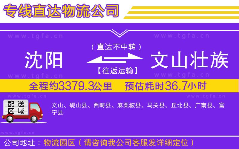 沈陽到文山壯族苗族自治州物流公司