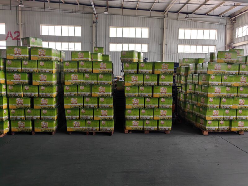 佛山到伊春南岔區(qū)貨運(yùn)公司